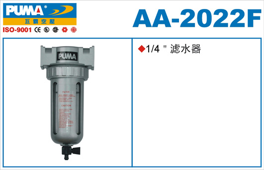 AA2022Fs